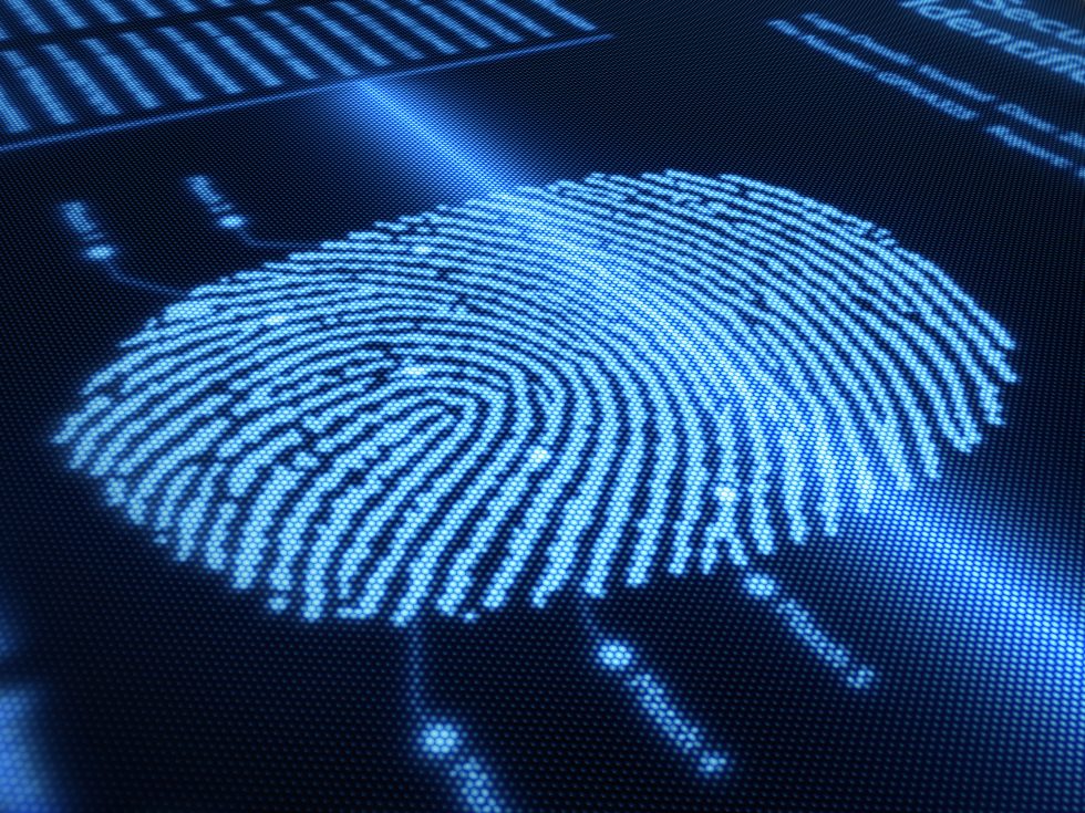 The Purpose of Fingerprinting